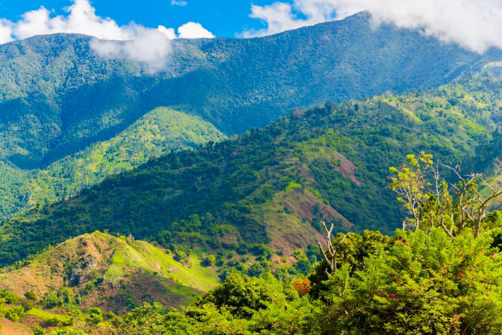 Top 7 Unique Travel Destinations to Visit in 2025 Vivid view of the lush, green Blue Mountains in Jamaica, with layers of forested hills and peaks under a bright blue sky with fluffy white clouds